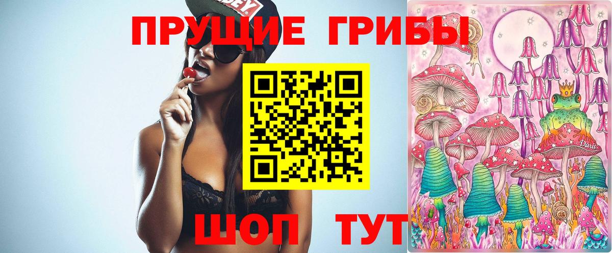Псилоцибиновые грибы Psilocybine cubensis  Вход с VPN  Юрга 